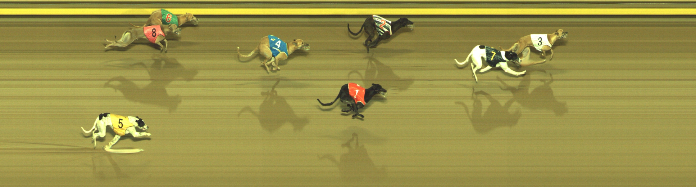 Race result finish photo